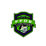Federação Fluminense de Desportos Eletrônicos (FFDE))